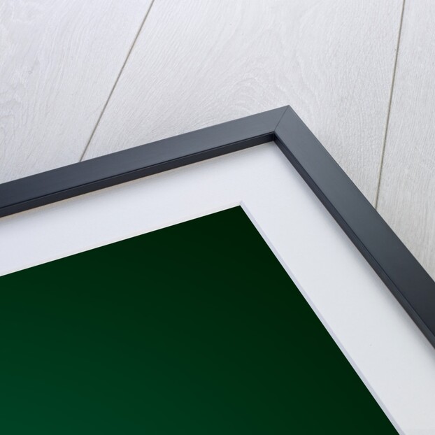 Neon Flare two by Jason Pooley